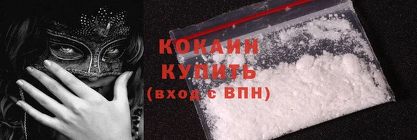 прущие грибы Кадников