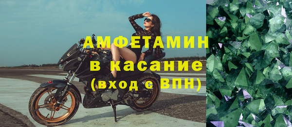 прущие грибы Кадников
