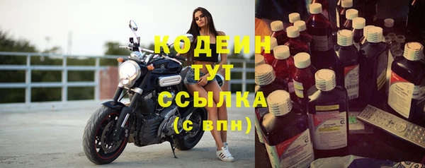 прущие грибы Кадников