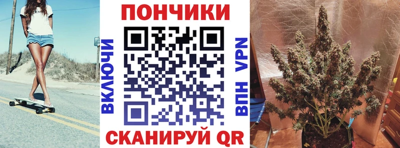 Бошки марихуана Amnesia  купить закладку  Новосокольники 